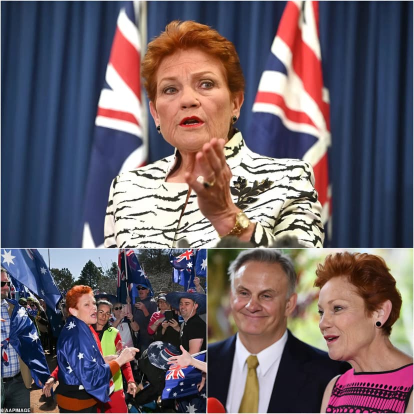 “WHO GAVE YOU THE RIGHT TO TURN AUSTRALIA INTO A MIGRANT Dump?” Pauline Hanson continued to ignite Australian politics, publicly unveiling her massive “Zero Migration” plan, demanding a 90% reduction in annual immigration and the immediate deportation of anyone who doesn’t integrate into Australian culture. This proposal shocked both conservatives and the left, described as a “punch to the face” of the decades-old multicultural system. Within 72 hours of her speech, support for One Nation surged to record 28-30% in several states, surpassing even the Liberal-National Coalition in many polls – a historic comeback for the populist party once considered “peripheral.” Hanson promised to use the savings from visa cuts to reduce corporate taxes to the lowest in the region, bring house prices within reach of native Australians, and invest heavily in border security. But her 12-word phrase, “the machine is on fire,” on national television went viral across social media, sparking outrage from a diverse community and genuine fear among those in power about a populist revolution engulfing Australia’s political future.