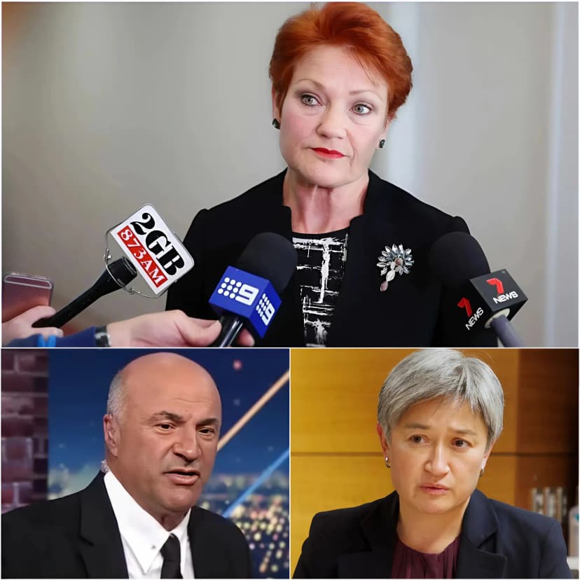 PAULINE HANSON READS PENNY WONG’S FILE ALOUD — AND CNN IS LEFT IN STUNNED SILENCE… On live television, Pauline Hanson calmly unfolded what she described as Senator Penny Wong’s public record, reading it line by deliberate line. There was no shouting, no personal jabs, no theatrical flourishes — only a measured cadence and carefully cited remarks delivered with disarming composure. The panel appeared caught off guard, uncertain whether to interject or let the moment pass. The host hesitated. Cameras lingered a beat too long. Behind the scenes, producers were visibly scrambling to regain control. Then came eleven unmistakable seconds of dead air — the kind of unscripted vacuum live broadcasts are trained to avoid. Whatever Hanson chose to underscore from Wong’s record — and whatever held the panel in silence — instantly became the clip viewers can’t stop replaying.