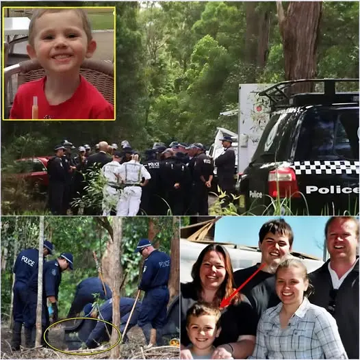 🚨 SHOCKING NEWS: Ten years of wilderness silence have finally been broken by a mother’s heart-wrenching scream! William Tyrrell has been found, but the truth behind his disappearance is more horrifying than any horror movie. It wasn’t just a kidnapping; police are investigating an international human trafficking ring involving the most powerful. “They enslaved my son,” his mother sobbed. All the gruesome evidence is in the comments! 👇👇