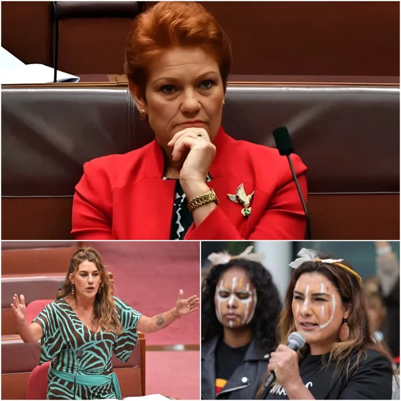🚨 FLASH NEWS: Canberra Explodes Into Fresh Political Clash as Pauline Hanson Accuses Senator Lidia Thorpe of Driving a “Radical Agenda.” The fiery accusation has reignited long-running tensions between the two outspoken figures, reviving memories of dramatic Senate confrontations and sparking new debate over political conduct in Australia. Hanson pointed to Thorpe’s controversial remarks at a pro-Palestinian rally — including comments about “burning down Parliament House,” later defended as metaphorical — and has previously called for an AFP investigation, arguing such rhetoric risks public order. Thorpe, meanwhile, has repeatedly accused Hanson of racism and condemned her political tactics. As the two trade sharp barbs once again, the feud is fuelling a nationwide argument over free speech, accountability, and how far politicians should go when pushing their agendas.