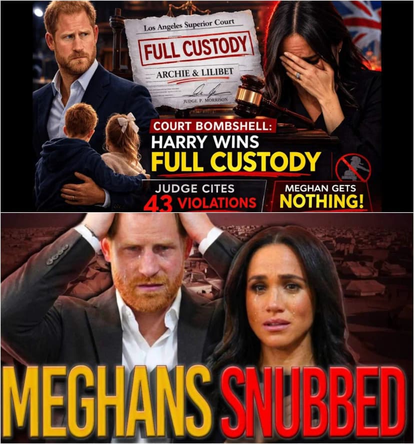 1 Minute Ago: Court Shocker — Harry Awarded Full Custody as Judge Points to 43 Violations | George Will