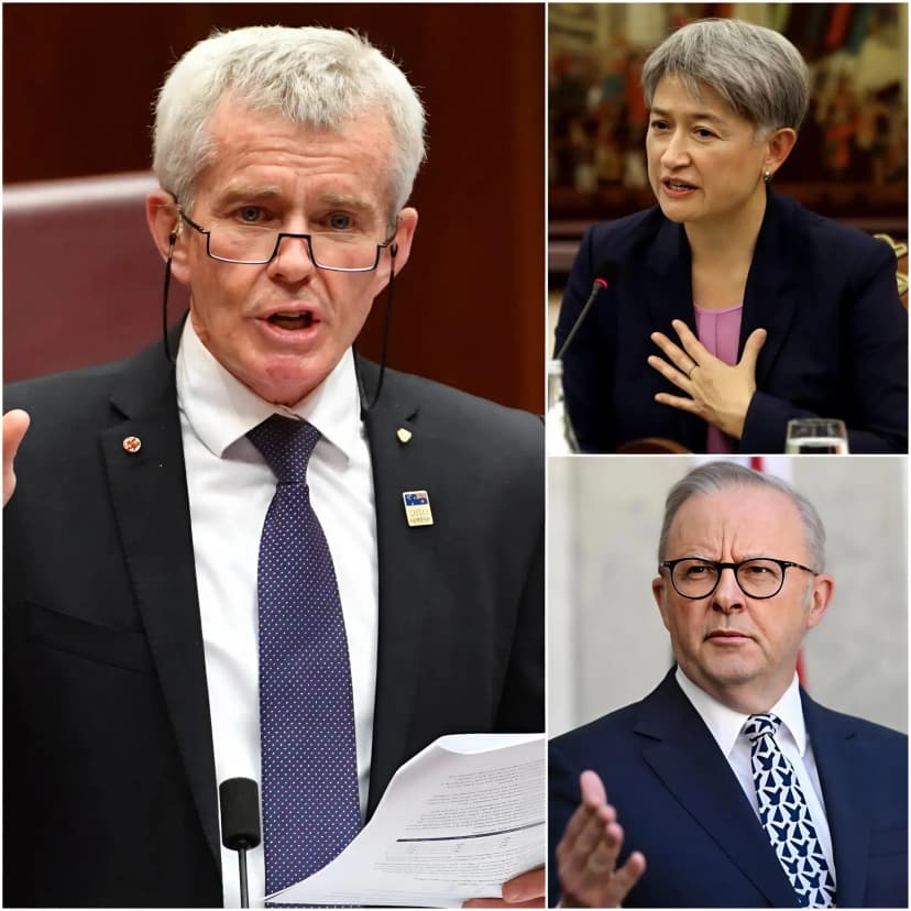 🚨 “NET ZERO IS A SCAM.” In what was meant to be a routine Senate debate, Senator Malcolm Roberts erupted with a blistering speech, flatly branding Net Zero a “fraud” that is crippling the economy, driving electricity prices sky-high