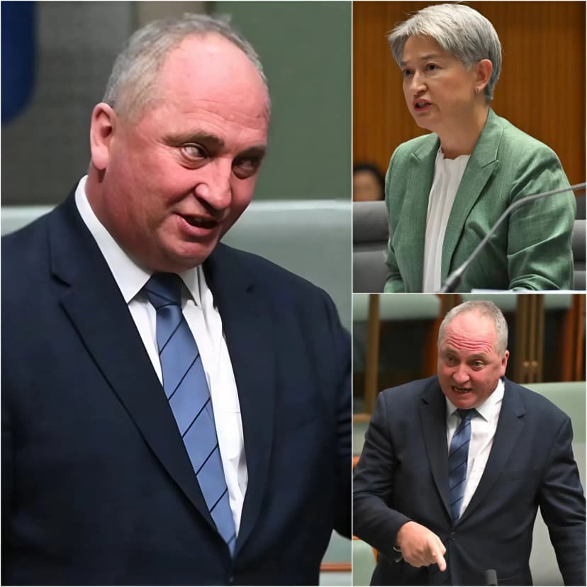 “ONLY THOSE BORN IN AUSTRALIA SHOULD BE ALLOWED TO HOLD POWER, AND DUAL CITIZENSHIP MUST BE BANNED IN PARLIAMENT.”