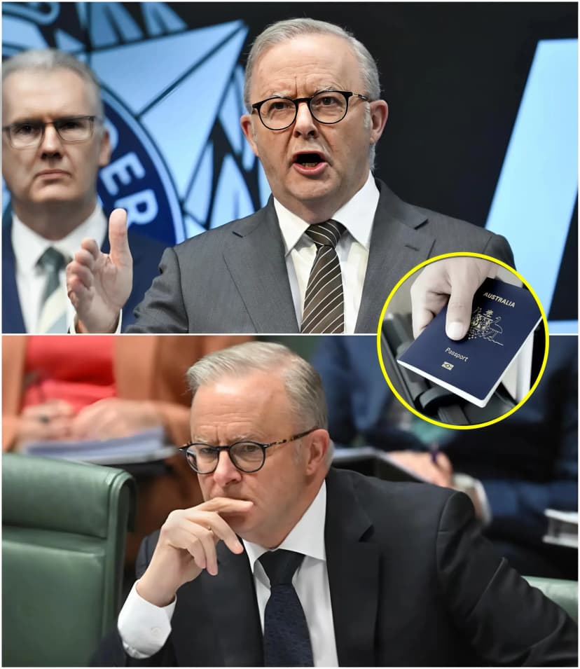 🔥📣 Albanese Anthony has just released a shocking legal announcement: a groundbreaking bill proposing to limit the right to hold the office of Prime Minister and parliamentary seats ONLY to those born in Australia