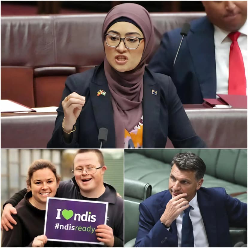 “THIS IS A COMPLETE LIE!” — Fatima Payman Fires Back at Angus Taylor Over Shocking NDIS Fraud Allegations… But Her On-Camera Reaction Sparks an Even Bigger Political Storm