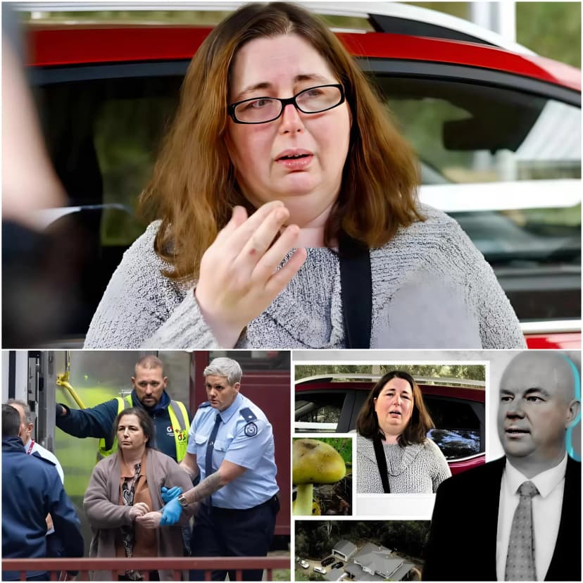 🔥📣 SHOCKING NEW DEVELOPMENT IN AUSTRALIA’S POISONOUS MUSHROOM CASE: “I am not guilty” — The firm declaration from Erin Patterson has once again stirred public debate as the mushroom poisoning case that once shocked all of Australia suddenly reveals dramatic new developments.