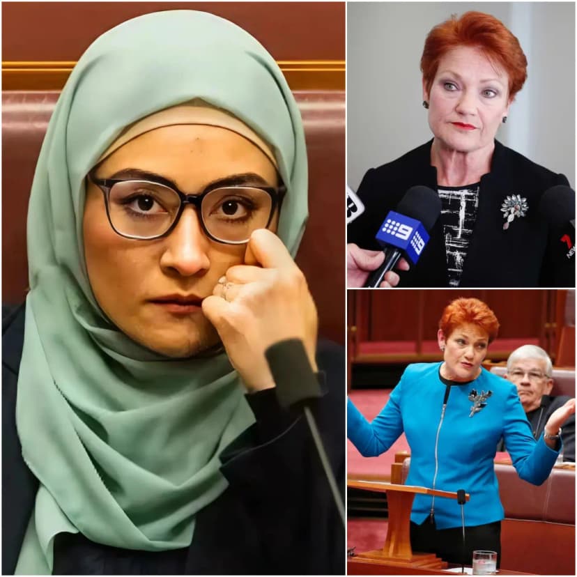 🚨 “SHE MUST REPAY EVERY CENT OF THAT $75 MILLION!”— Pauline Hanson Demands Fatima Payman Return $75 Million Over Alleged Insider Trading and Corrupt “Payman Family Investments”