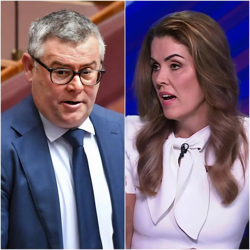 🚨 “YOUR MOUTH IS WRITING CHEQUES YOUR BRAIN CAN’T CASH!” — Murray Watt’s Live TV Clash With Peta Credlin Explodes Into a Stunning On-Air Showdown That Leaves the Panel in Silence
