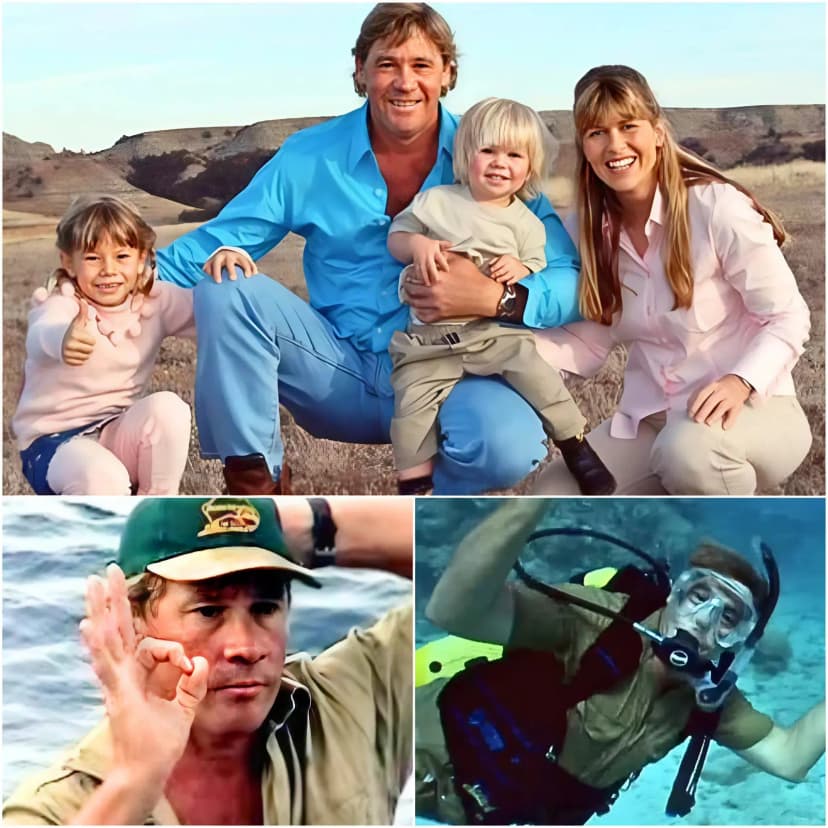 💔 “DON’T LEAVE US, STEVE…” — What Really Happened in Steve Irwin’s Final Moments Still Breaks Hearts 18 Years On