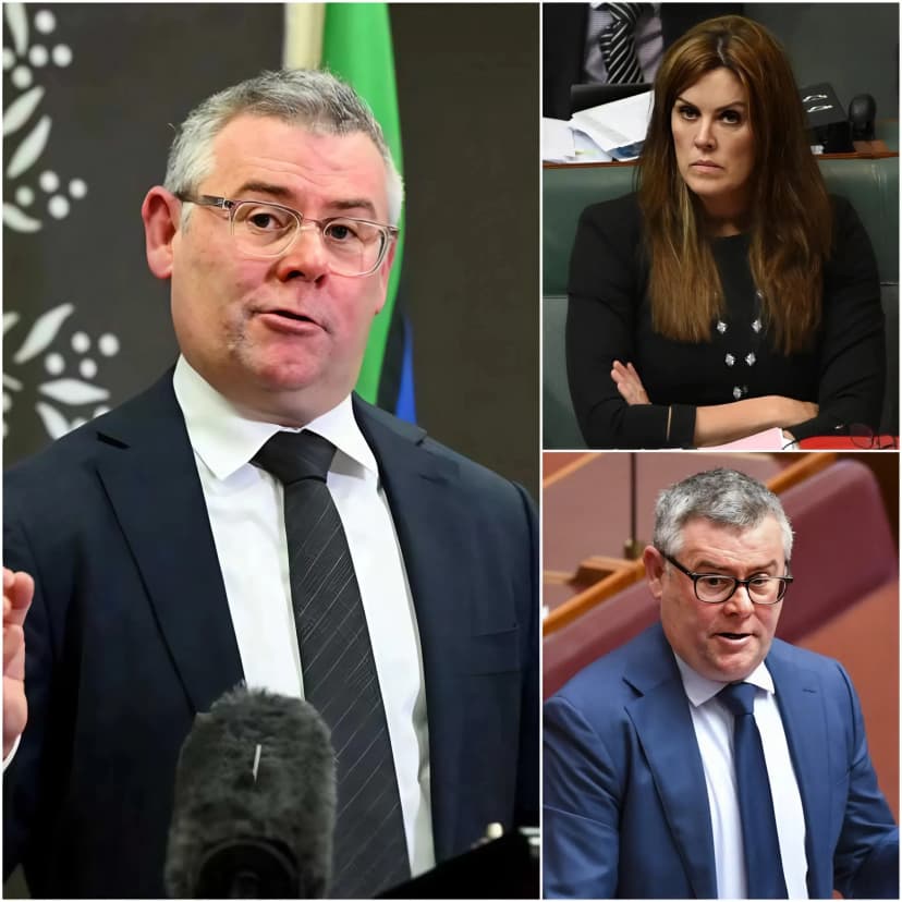 “Your mouth is saying things your brain can’t deliver!” — a line that cut through the tension of a live televised debate in Australia like a knife. In an attempt to turn the tide, Minister Murray Watt tried to set a trap with a series of sharp questions, targeting what he believed were his opponent’s most critical weaknesses.