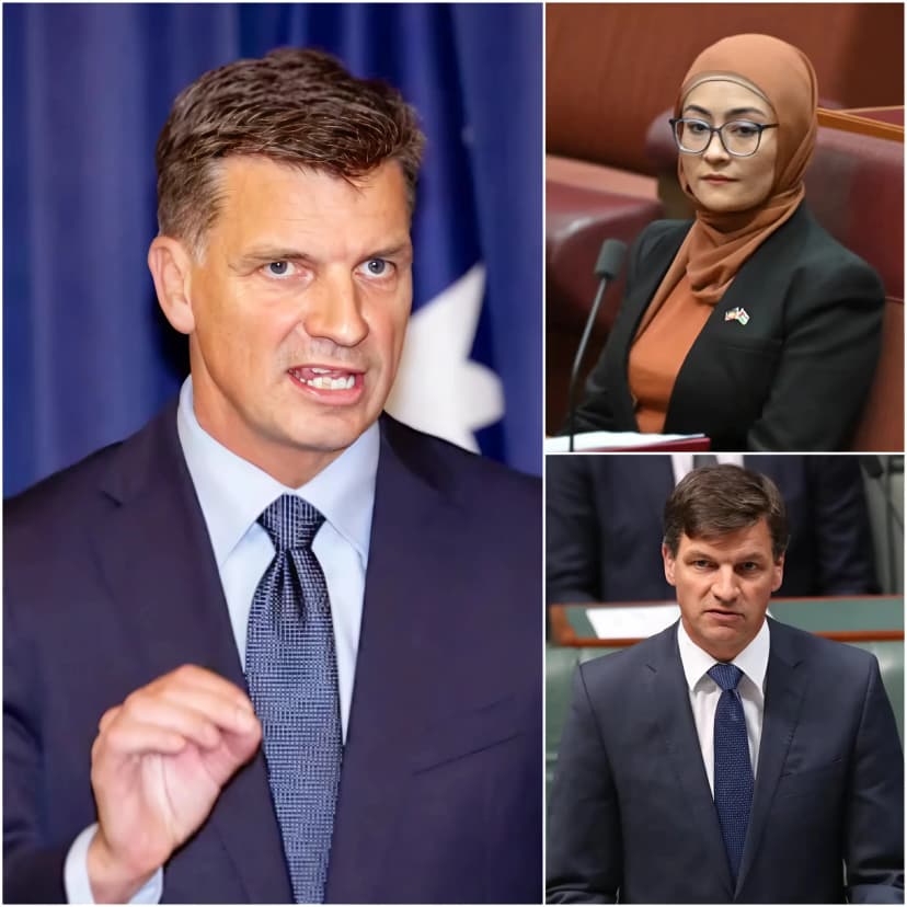 💥 THE EARTH-SHAKING UPRISING OF Angus Taylor AIMED AT Fatima Payman SHOOK CANBERRA! 🇦🇺 “Go back to your country!” — The atmosphere in the Australian Senate suddenly became suffocating, as what seemed like a routine session unexpectedly turned into the center of a fierce political storm.