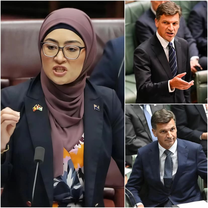 🚨 “ALLAH WILL PUNISH YOU FOR THIS!” FATIMA PAYMAN’S HORRIFYING ATTACK ON ANGUS TAYLOR HAS FREEZED THE SENATE IN FEAR! 🇦🇺💥