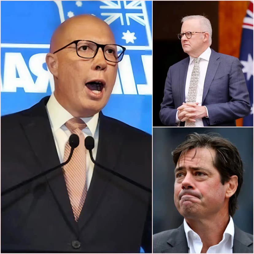 🚨 The AFL faces a major crisis as its proposed cuts to head injury insurance cause outrage