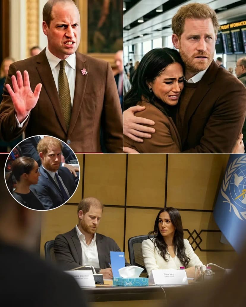 “AUSTRALIA SHUT THE DOOR ON HARRY &amp; MEGHAN — AND THE ROYAL FAMILY IS WATCHIN