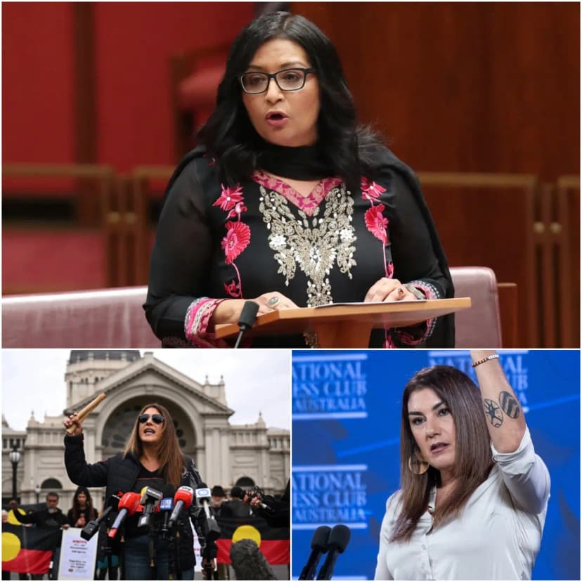 🚨 “YOU WHITE PEOPLE CAN’T EVEN UNDERSTAND BASIC ENGLISH!” — Mehreen Faruqi Defends Lidia Thorpe’s “Burn Down Parliament” Rant In R.a.c.ist Senate Attack
