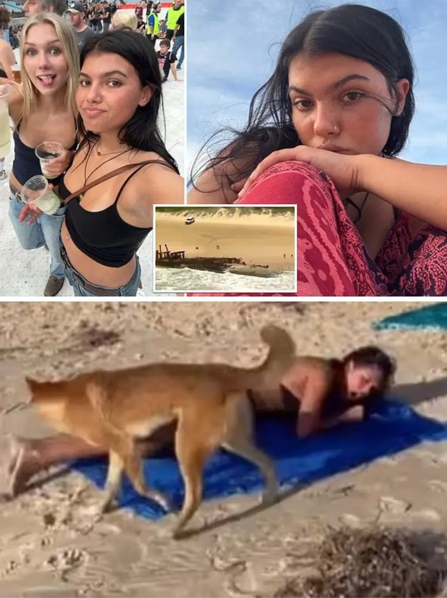 JUST NOW : Australian police have re-determined the cause of Piper James’s death — it wasn’t a stray dog ​​bite as initially reported. The truly horrific cause has led to a nationwide emergency alert. Watch the VIDEO below… 👇👇