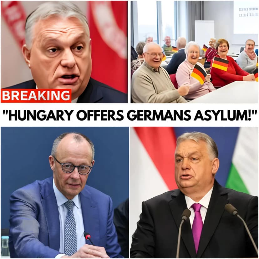 💥 ORBAN OFFERS ASYLUM to GERMAN PENSIONERS — MERZ RAGES in Fury!