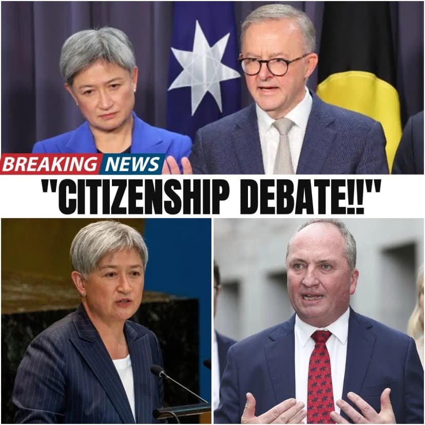 🚨“ONLY THOSE BORN IN AUSTRALIA SHALL BE PERMITTED TO HOLD POSITIONS OF PO🚨“ONLY THOSE BORN IN AUSTRALIA SHALL BE PERMITTED TO HOLD POSITIONS OF POWER, AND DUAL CITIZENSHIP WITHIN PARLIAMENT SHALL BE STRICTLY PROHIBITED.WER, AND DUAL CITIZENSHIP WITHIN PARLIAMENT SHALL BE STRICTLY PROHIBITED.