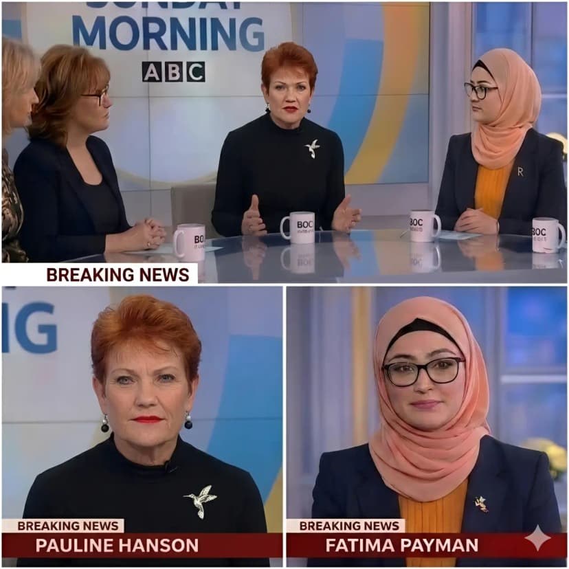 THE MIC DROP HEARD ’ROUND THE NATION: The explosive moment Pauline Hanson walked out of a live TV studio