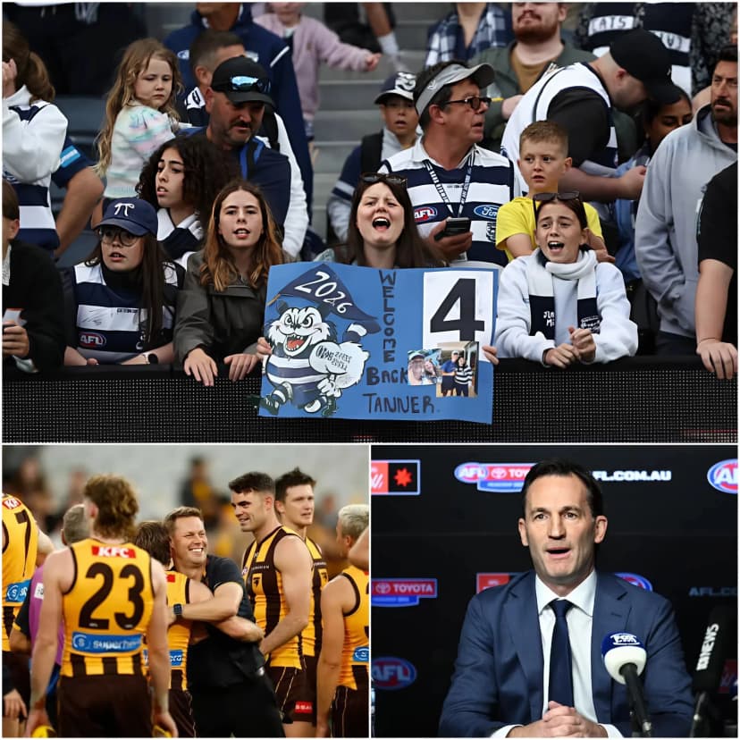 🚨 BREAKING NEWS (UPDATE): About 30 minutes ago, some fans of the Geelong Cats called on the AFL to overturn the result of the match between the Hawthorn Hawks and Geelong (Hawthorn won 92–91). They gathered thousands of signatures and demanded immediate action from the AFL.