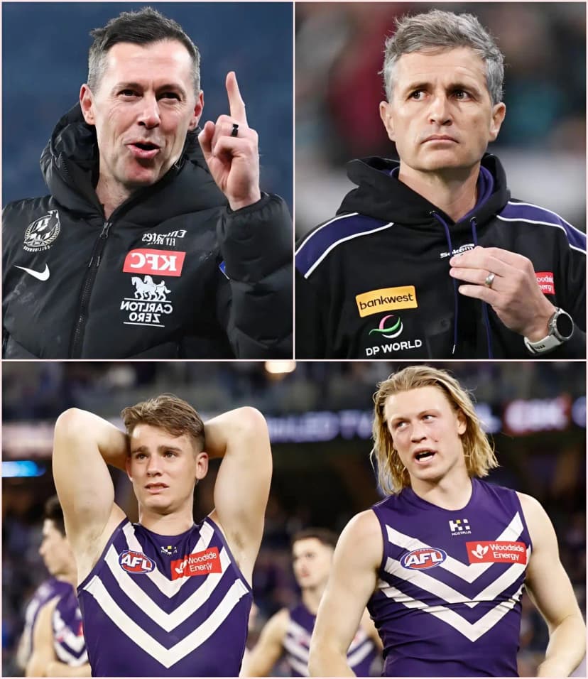 JUST IN : Fremantle Dockers head coach Justin Longmuir has proposed banning all Collingwood Magpies fans from Fremantle Dockers’ stadium for a completely absurd reason. Craig McRae immediately responded with a scathing 15-word retort directly targeting Fremantle Dockers, sparking a wave of fierce criticism against the team.