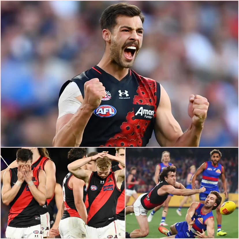 A FEW MINUTES AGO: Following the crushing loss to the Western Bulldogs in Game 4, Kyle Langford became the most heavily criticized player on the team. Many fans in the stands booed, saying he didn’t play well, even shouting discriminatory remarks like “too weak, go back to your place!”. This caused Kyle Langford to lose his temper and respond with 21 words that silenced everyone.