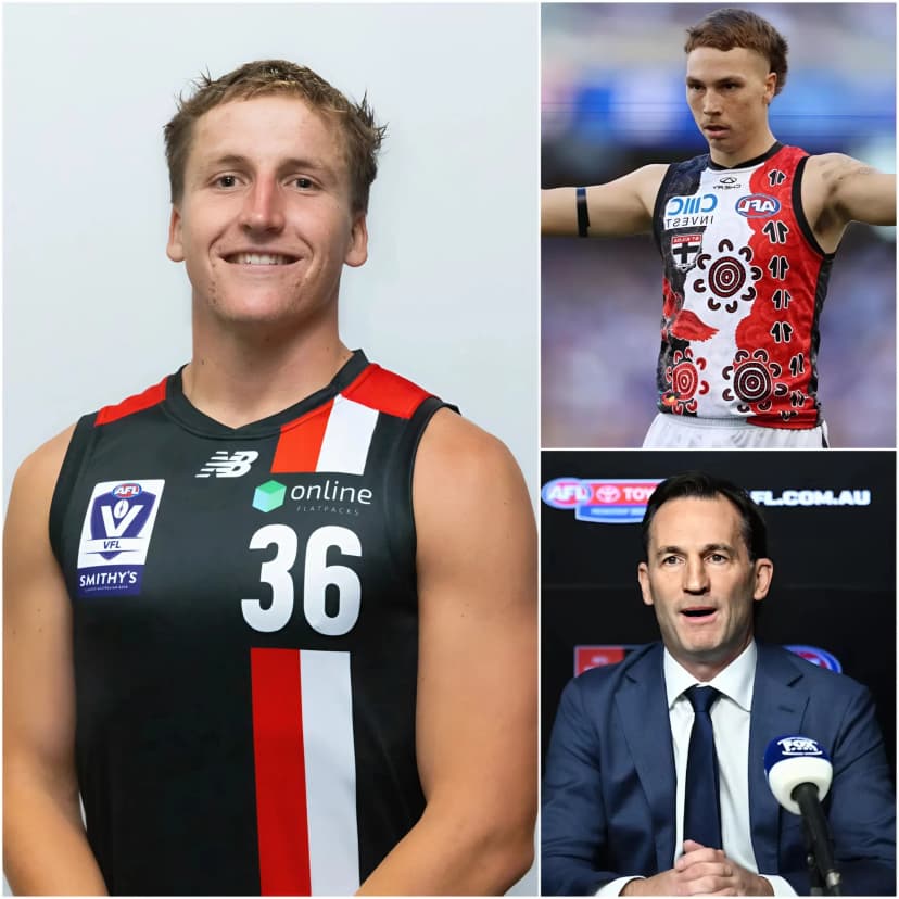 🚨 “BAN HIM FROM THE COMPETITION IMMEDIATELY” — Darby Hipwell, a player for the Frankston Dolphins, has shocked the public after formally calling on the AFL to impose a playing ban on Lance Collard, forward of the St Kilda Football Club, following alleged homophobic remarks directed at him.