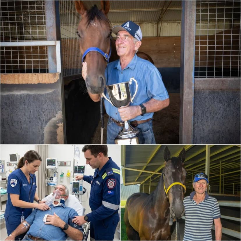 SAD NEWS 😢 Australian horse trainer Stephen Meyer has just passed away after being kicked in the back by his own 9-year-old horse, on the first day of the two-day festival in Scone, Hunter region of NSW, plunging the racing community into mourning.