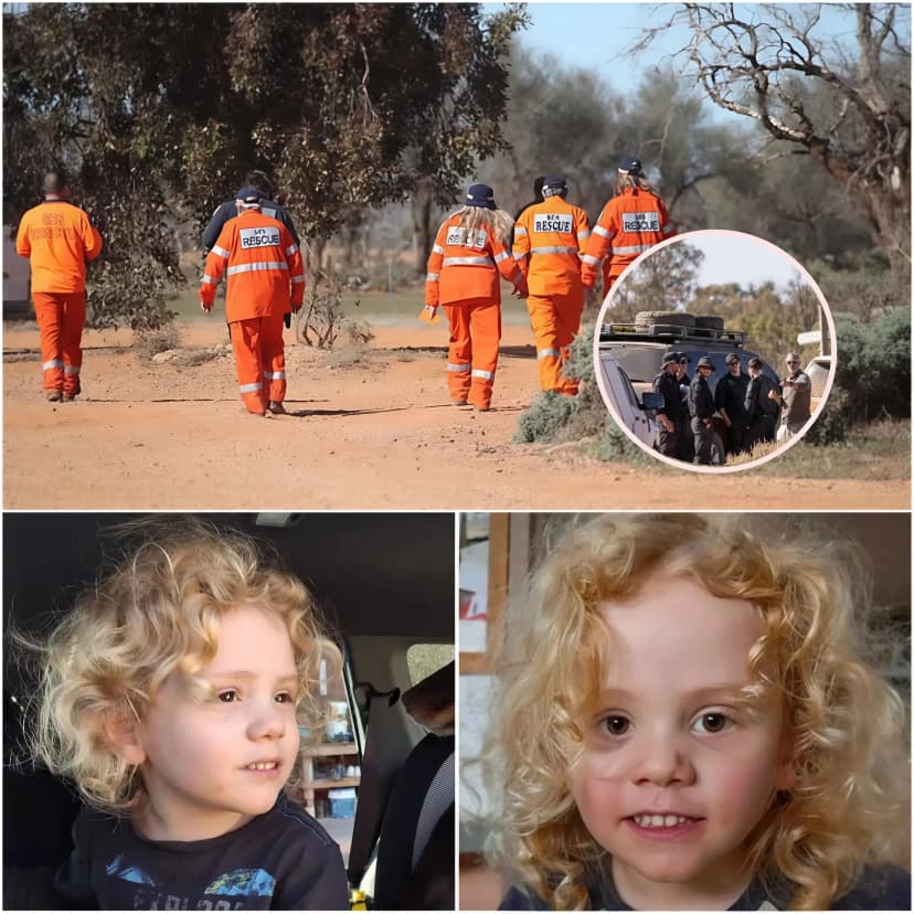 JUST IN 🚨 “WE ARE CERTAIN GUS’S PARENTS KNOW MORE THAN THEY ARE ADMITTING…” — Police have revealed the latest update in the search for missing boy Gus Lamont after heavy rain unexpectedly exposed crucial new evidence.