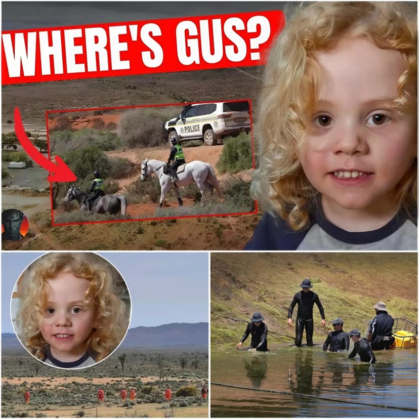 BREAKING NEWS 🚨 THEY DEFINITELY KNEW SOMETHING BUT DIDN’T TELL US: Criminology expert exposes how Gus Lamont’s parents gave false statements and deliberately misled police by directing suspicion toward remote locations, revealing the truly horrifying events unfolding behind Gus Lamont’s case.