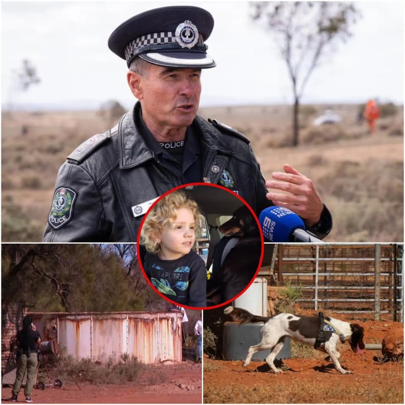 🚨 “MOM… DAD… IT’S REALLY ME!” The desperate cry echoing from a dark basement shattered years of uncertainty and exposed a truth that stunned all of Australia.